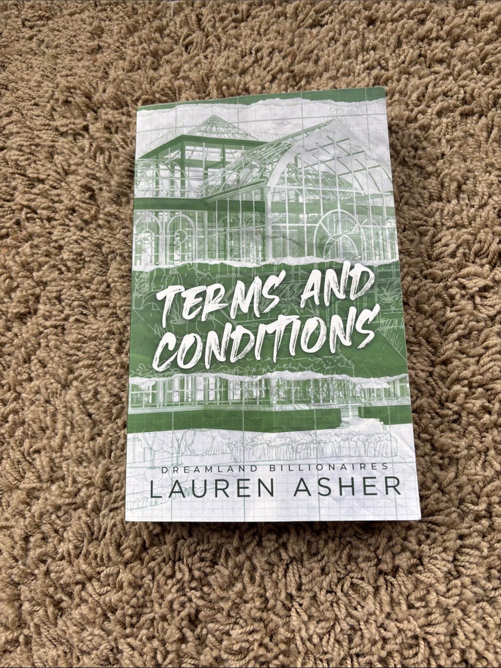 Terms and Conditions Paperback - Green Cover